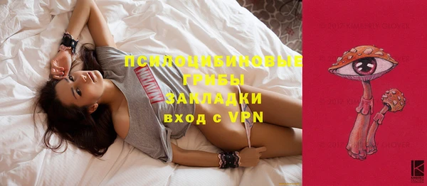 тгк Медвежьегорск