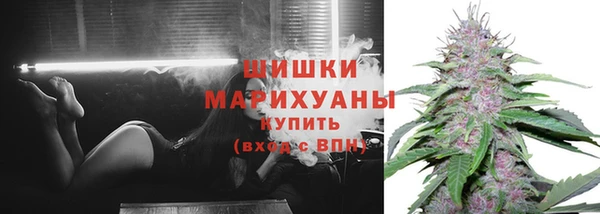 apvp Мегион