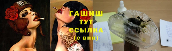 тгк Медвежьегорск