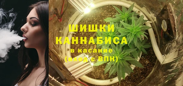 МДПВ Медногорск