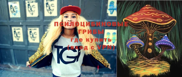 молекула духа Майский