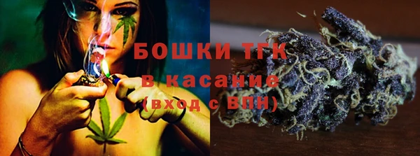 тгк Медвежьегорск