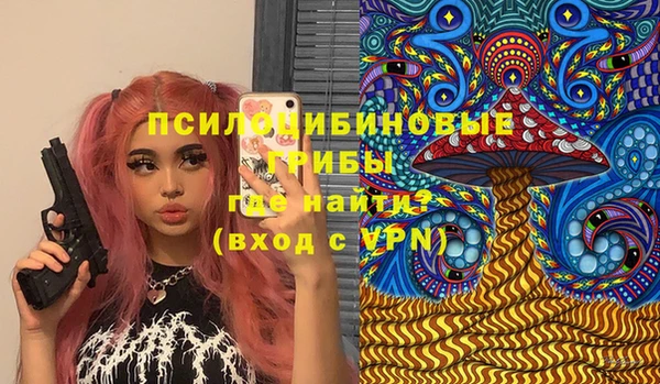 МДПВ Медногорск