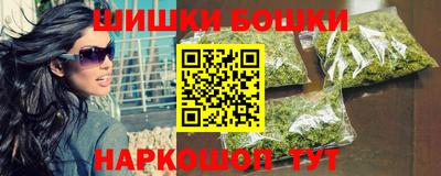 гашик Будённовск