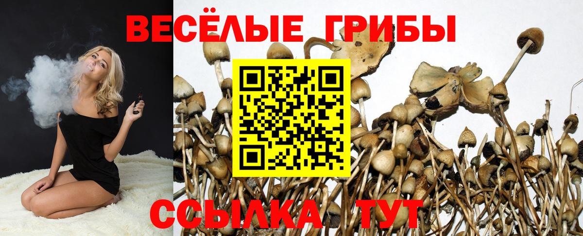 Галлюциногенные грибы GOLDEN TEACHER Губкин